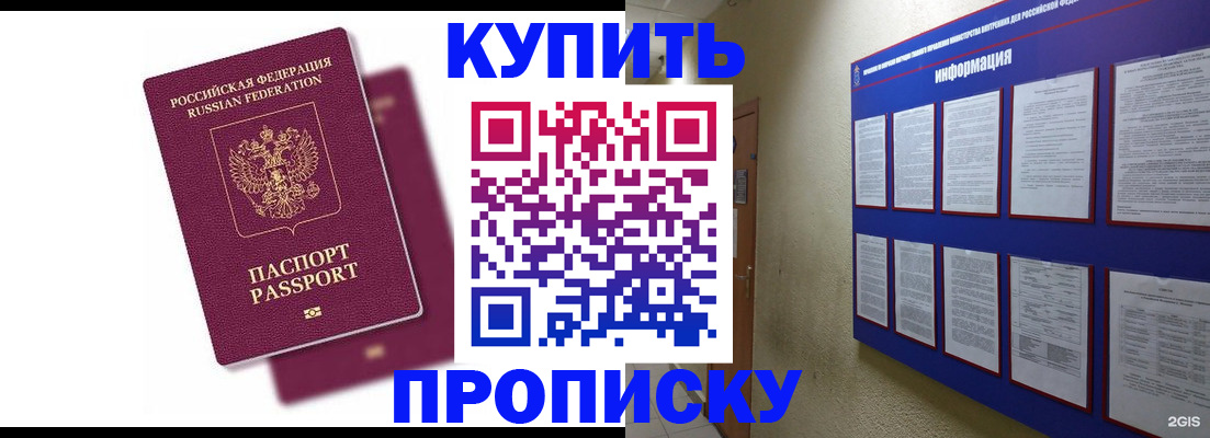 купить прописку в Коле